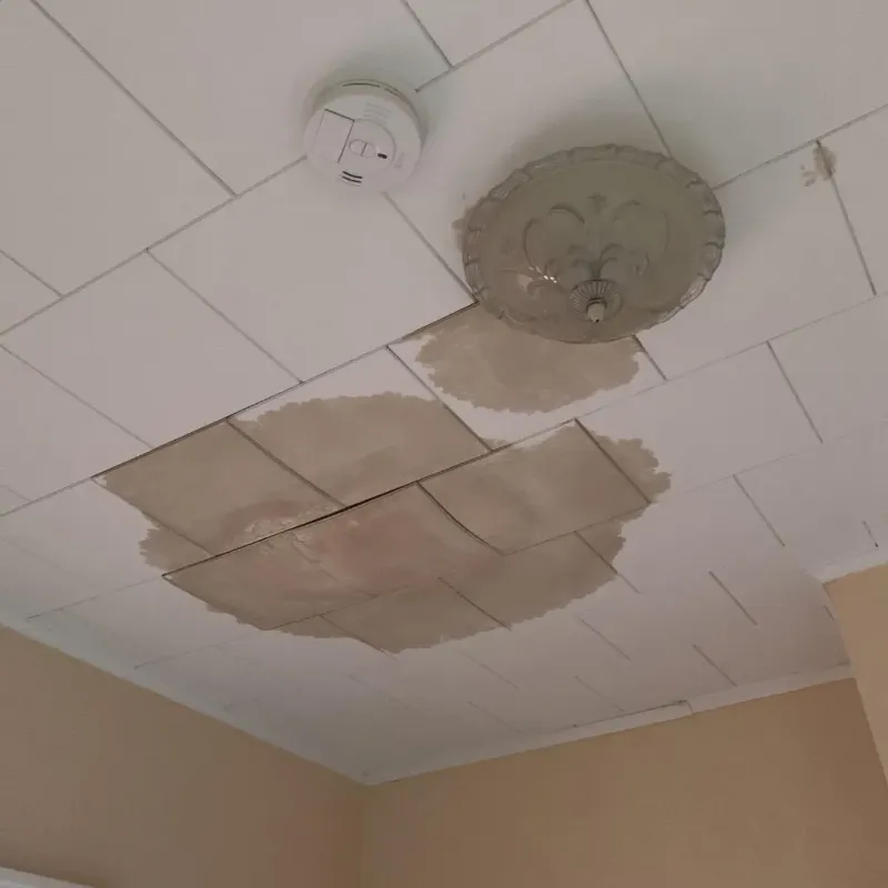 Ceiling Water Damage Repair in Streetsboro, OH