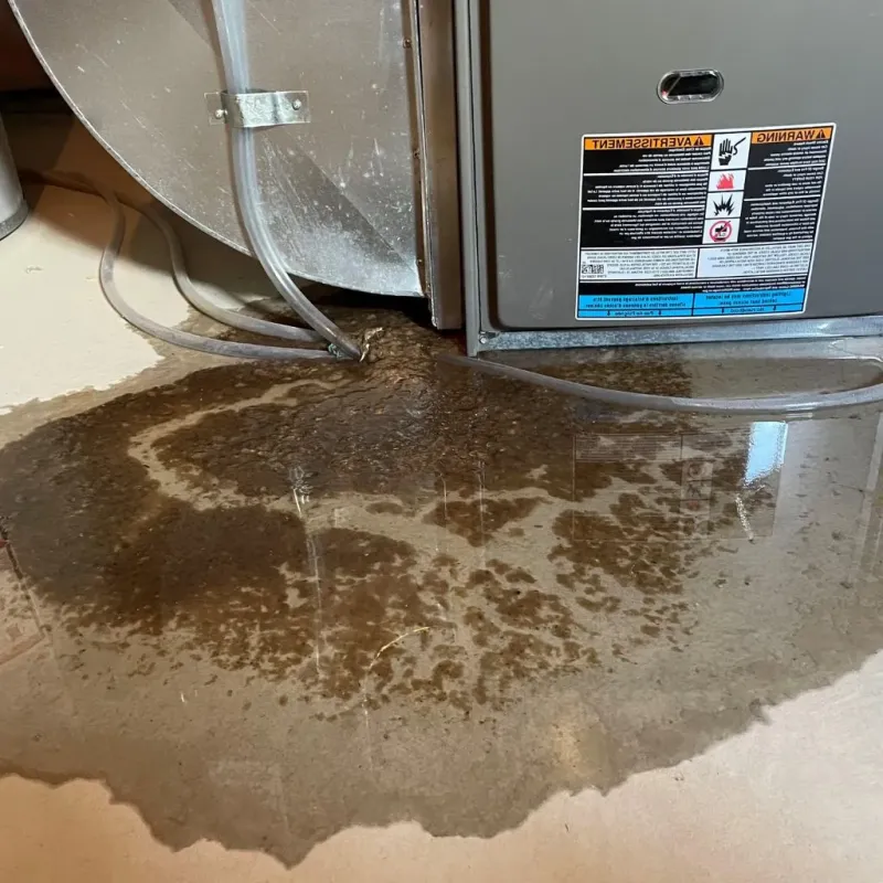 Pipe Burst and Leak Restoration in Streetsboro, OH