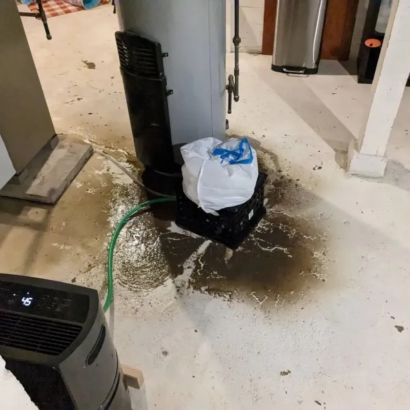 Sewage Backup Cleanup Service in Streetsboro, OH